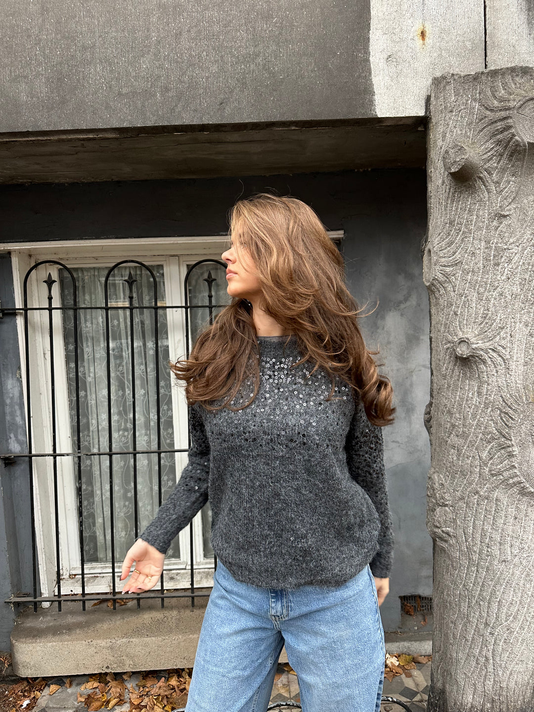 Knitted Sweater Sequin