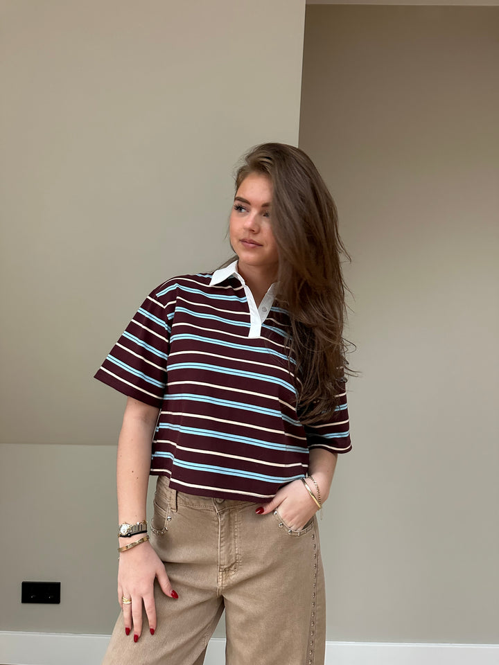 Riley Stripe Polo Top