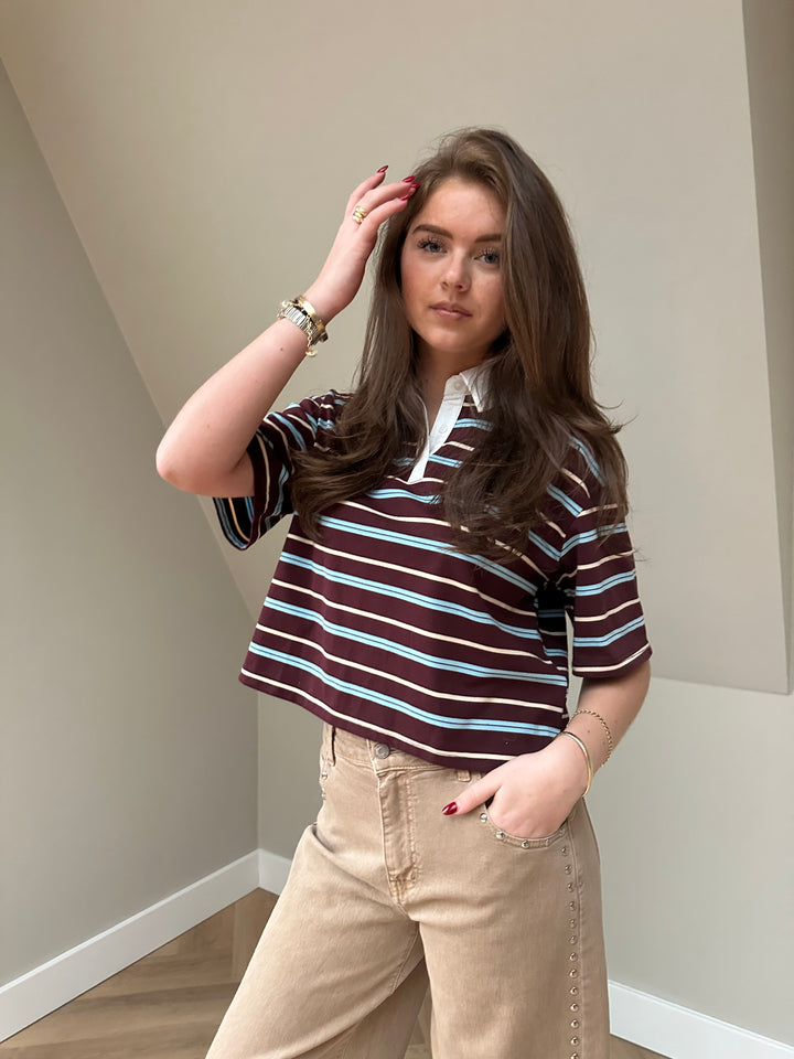 Riley Stripe Polo Top