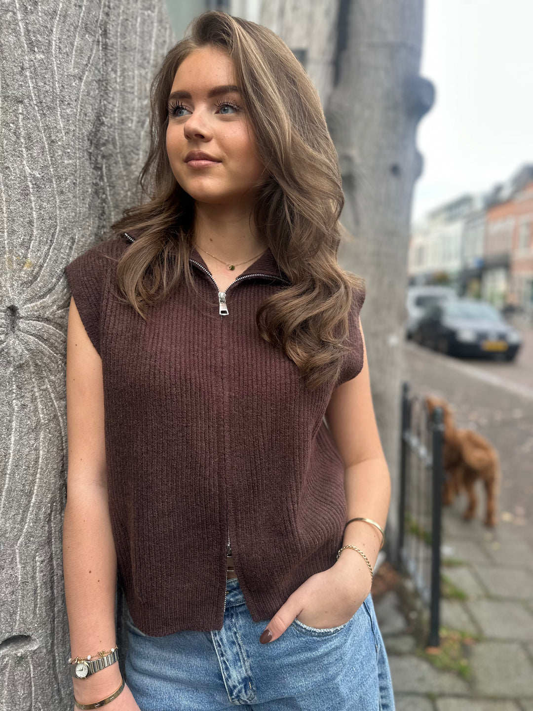 Bruin gilet met rits