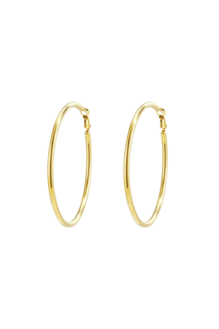 Bold Circle Hoops