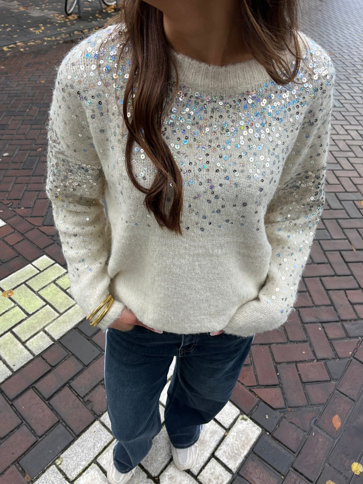 Knitted Sweater Sequin