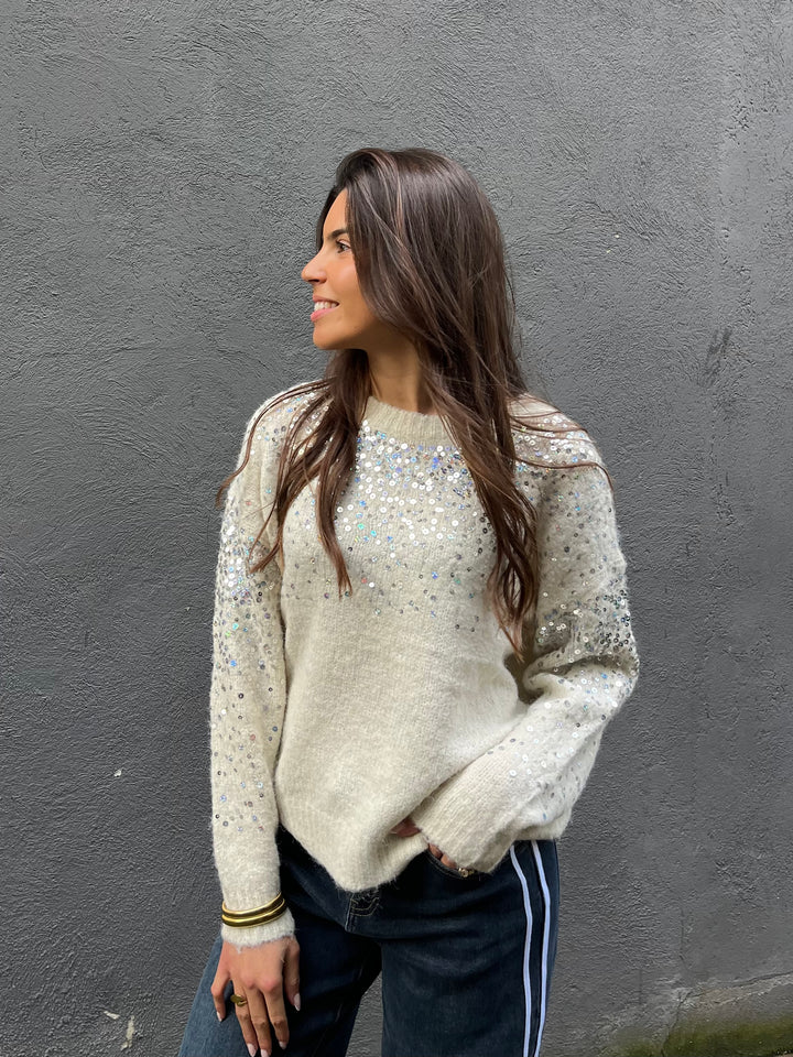 Knitted Sweater Sequin