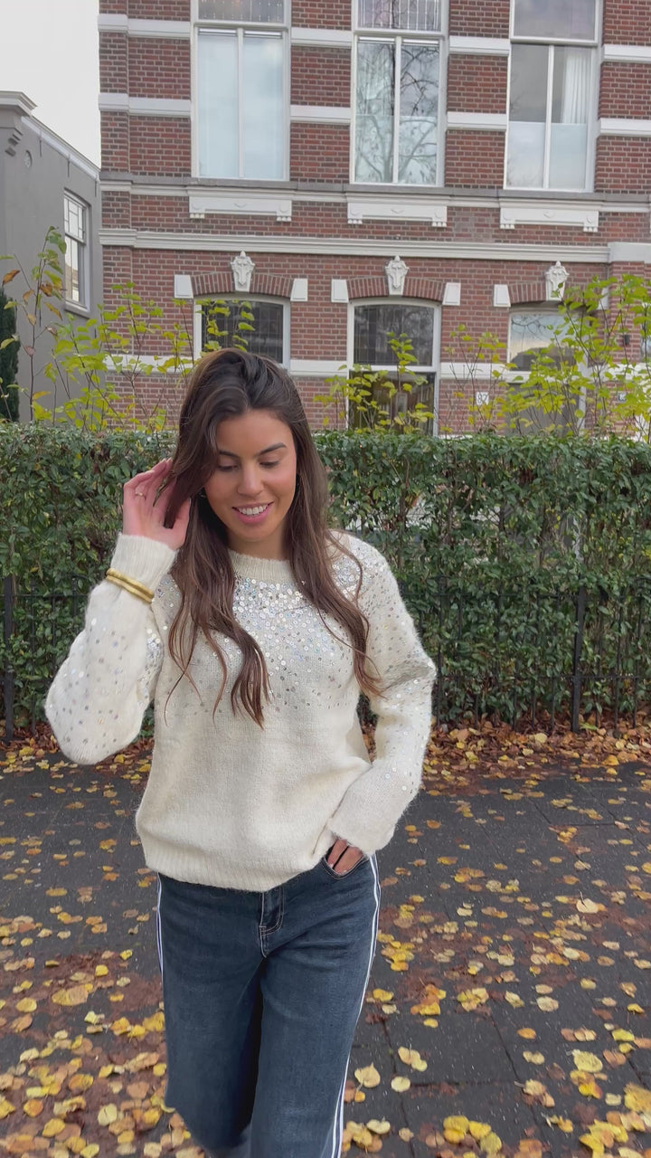 Knitted Sweater Sequin