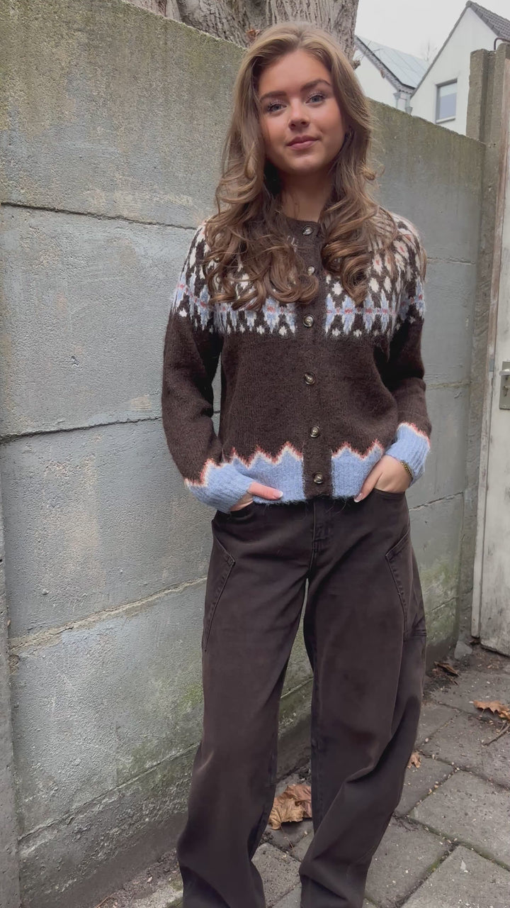 Nordic Breeze Cardigan